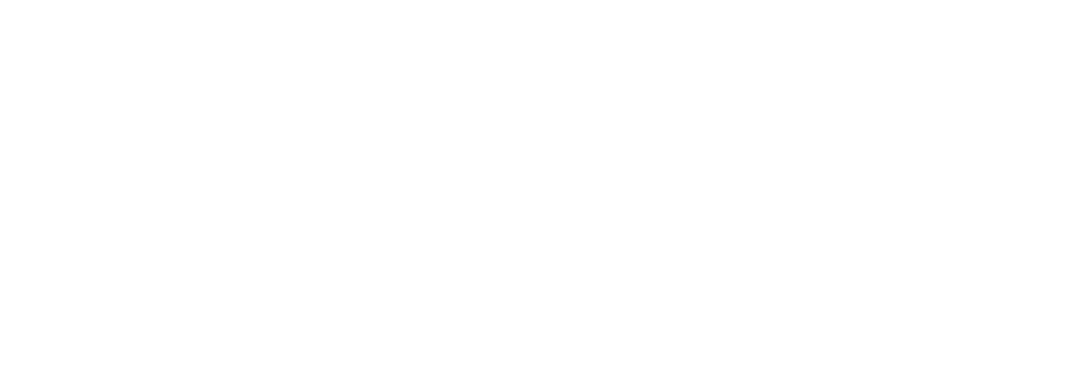 Dutch TechZone